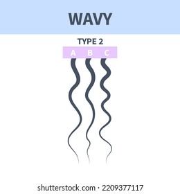 Wavy hair type classification system set. Detailed human hair growth style chart. Health care and beauty concept. Vector illustration.