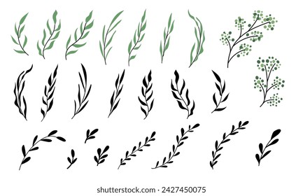 Wavy twigs with long and round leaves. Green leaf and silhouettes. Botanical clip art branches