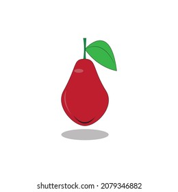 Wax apple vector isolated on white background
