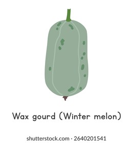 Wax gourd flat vector illustration. Wax gourd or Winter melon cartoon clipart style isolated on white background. Melon and Gourd concept