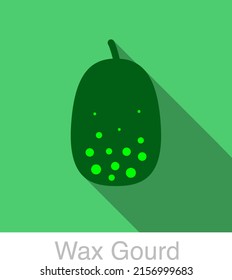 Wax gourd food flat icon design vector illustration