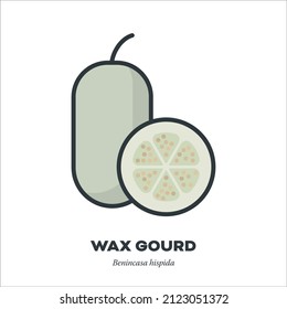 Wax Gourd Or Winter Melon Vegetable Icon, Outline With Color Fill Style Vector Illustration