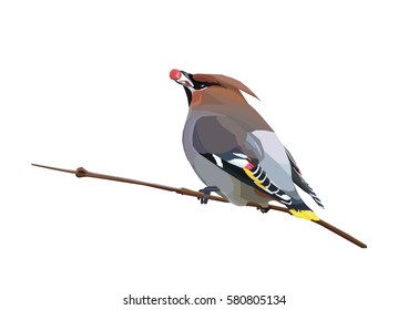 Waxwing
