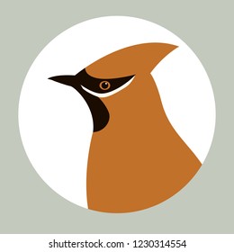 waxwing  bird. profile view

