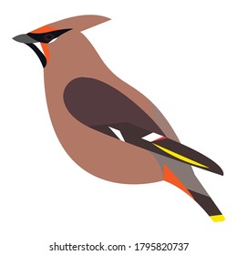 waxwing bird vector illustration isolated on white background