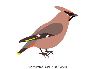 Waxwing bird vector isolated stock illustration