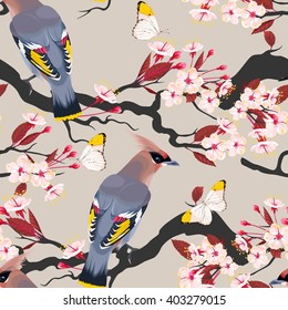 Waxwing on the cherry branch seamless