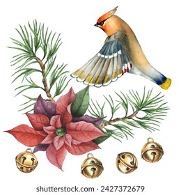 Waxwing, poinsettia and spruce branches. Can be used as a card, cover background or web message. Vector illustration in watercolor style.
