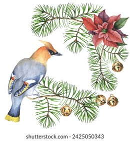 Waxwing and spruce branches. Can be used as a card, cover background or web message. Vector illustration in watercolor style.