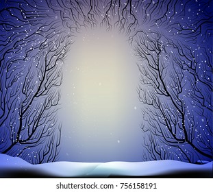 way to the deep fairy frosty winter forest, shadows, branches silhouette, night fairy forest cave