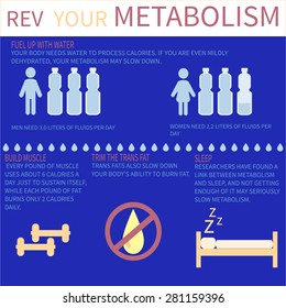 Ways to improve your metabolism. Metabolism infographics.