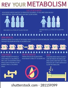 Ways Improve Your Metabolism Metabolism Infographics Stock Vector ...