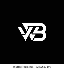 WB or BW abstract professional business awesome artistic branding company different colors illustration logo