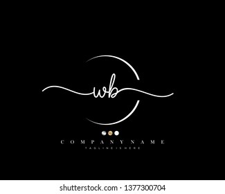 WB initial handwriting logo template vector