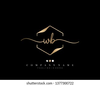 WB initial handwriting logo template vector