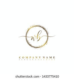 WB Initial luxury handwriting logo vector