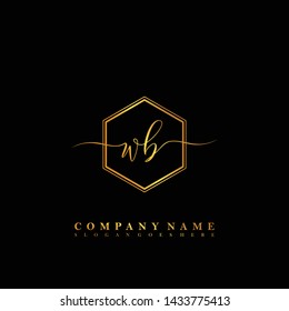 WB Initial luxury handwriting logo vector