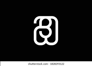 WB letter logo design on luxury background. BW monogram initials letter logo concept. WB icon design. BW elegant and Professional letter icon design on black background. W B BW WB