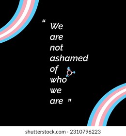 We are not ashamed of who we are banner with trans flag colors. Typography Poster on Trans Pride Flag Background. transgender quotes.