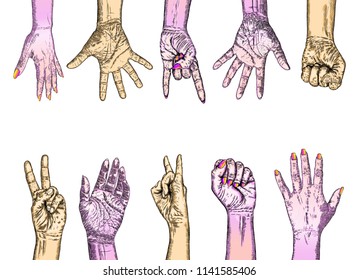 We are strong or Together we're strong concept. Raised fists. Ink art. Vector.