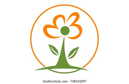 Wealth Management Sun Flower