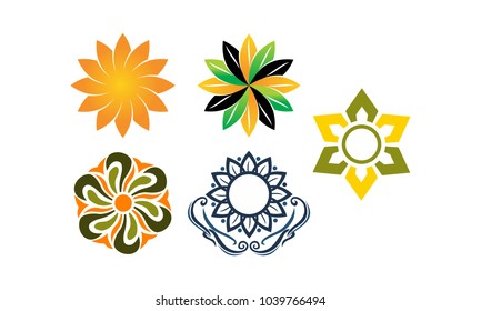 Wealth Management Sun Flower Set