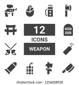 weapon icon set. Collection of 12 filled weapon icons included Cleaver, Axe, Dynamite, Bullet, Fencing, Warrior, Hand axe, Ax, Katana, Paintball, Quiver