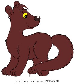 Weasel