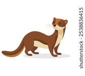 
Weasel animal isolated flat vector illustration on white background.