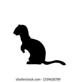 Weasel Ferret Silhouette. An Animal Of The Marten Family. Vector Illustrator