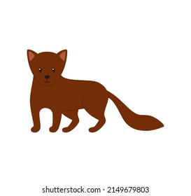 Weasel ferret wild forest animal cartoon character, flat vector illustration isolated on white background. Small wild ferret or mink puppy with fluffy brown fur.