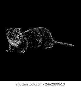 weasel hand drawing vector isolated on black background.