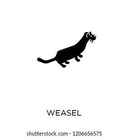 weasel icon. weasel symbol design from Animals collection. Simple element vector illustration on white background.