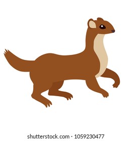 weasel isolated on white cartoon flat cute weasel forest animal