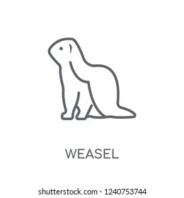 weasel linear icon. Modern outline weasel logo concept on white background from animals collection. Suitable for use on web apps, mobile apps and print media.