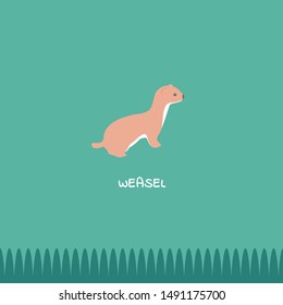 weasel post card animal ferret illustration