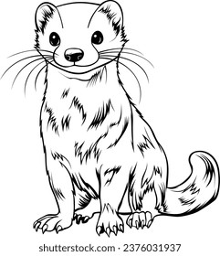 Weasel Realistic Animal Hand Drawn Illustration Vector For Coloring Book
