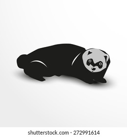 Weasel. Vector illustration. Animal collection.