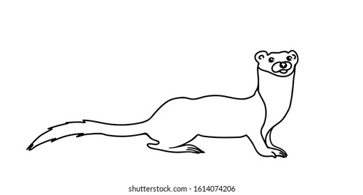 Weasel Vector Illustration Forest Ferret Outline Stock Vector (Royalty ...