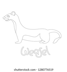weasel vector illustration,  linig draw  ,profile view