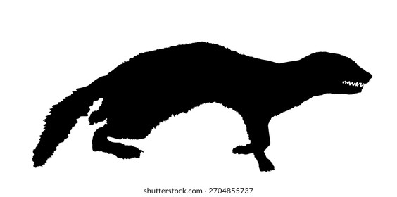 Ilustración de silueta de Vector de comadreja aislada. Pequeño animal mortal en la caza. Dibujos animados gráficos de sombra de forma marten.