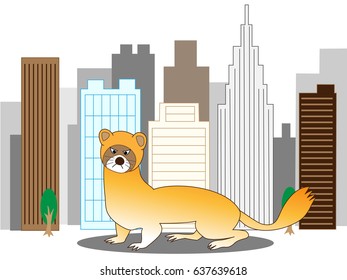 The weasel which appears in the building street.