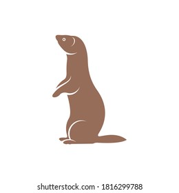 Weasel/mustela nivalis vector illustration ,simple and creative design