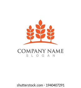 weat rice logo and symbol food