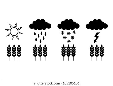 Weather icons