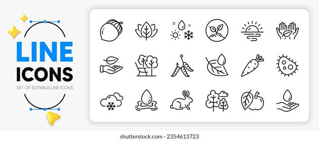 Weather, Sunrise and Leaf line icons set for app include Water splash, Acorn, Deckchair outline thin icon. Animal tested, Organic tested, Snow weather pictogram icon. Bacteria, Leaf dew. Vector