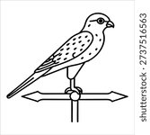 A weather vane featuring a bird silhouette pointing in different directions. Bird black outline for coloring book