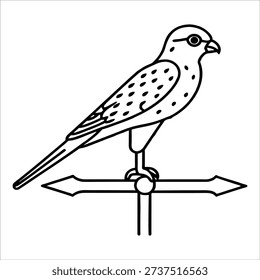 A weather vane featuring a bird silhouette pointing in different directions. Bird black outline for coloring book