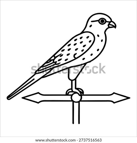 A weather vane featuring a bird silhouette pointing in different directions. Bird black outline for coloring book