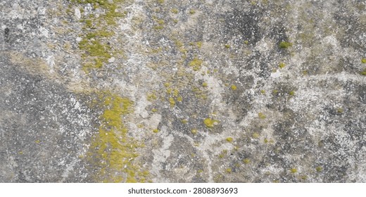 Weathered gray stone surface with yellow lichen patches weathered background material exterior abstract foundation lichenous markings